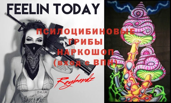 ешки Няндома