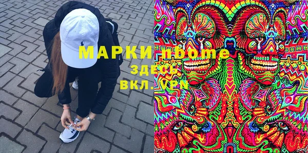ешки Няндома