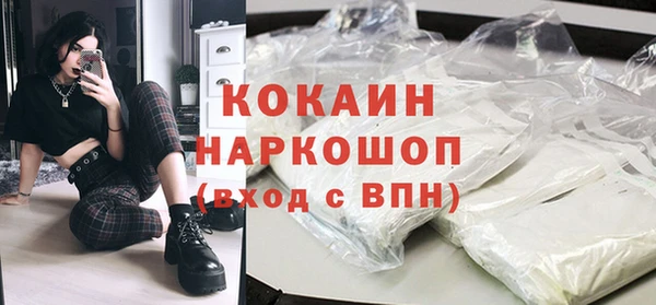 ешки Няндома