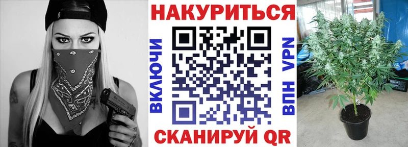 где купить наркоту  Каневская  Канабис семена 